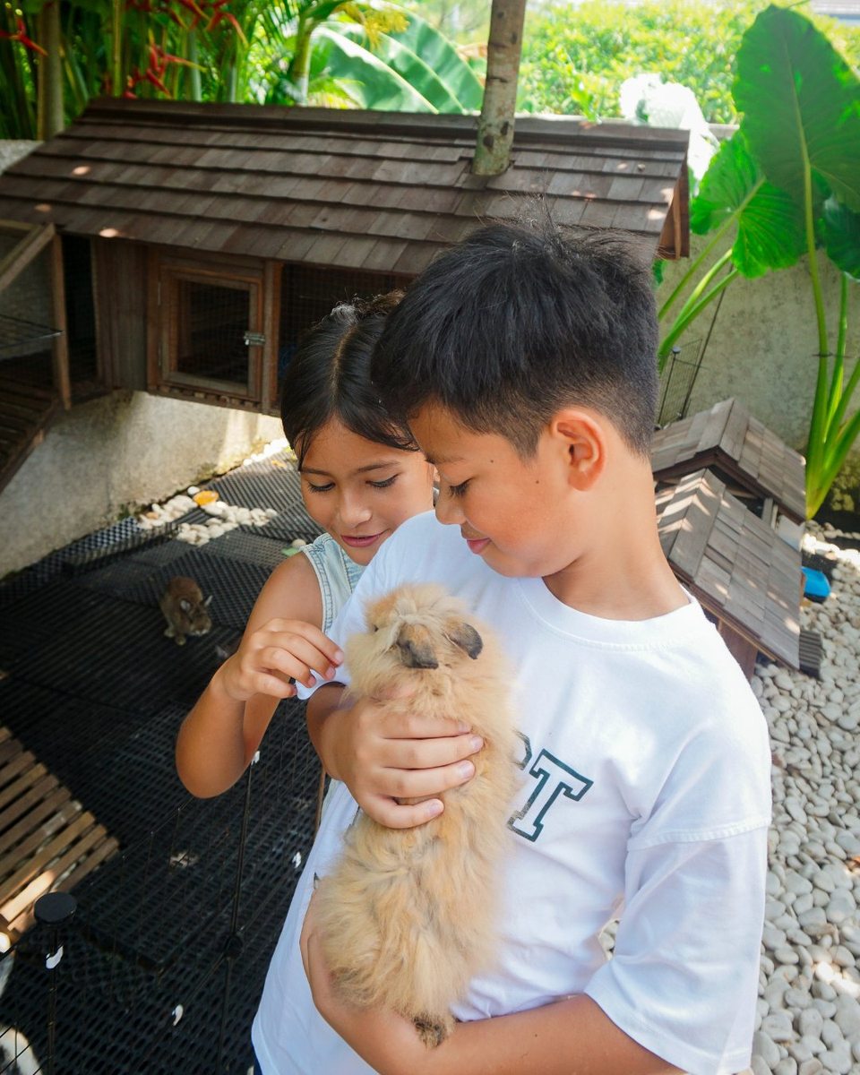 Kids Rabbit Feeding